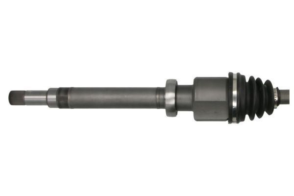 Pusašis PASCAL G2G029PC