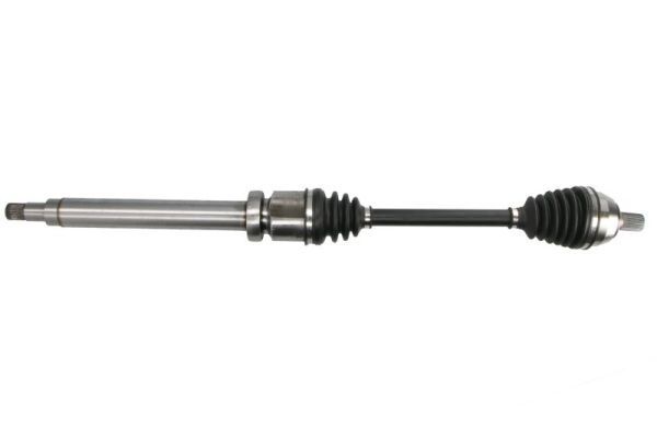Pusašis PASCAL G2G031PC