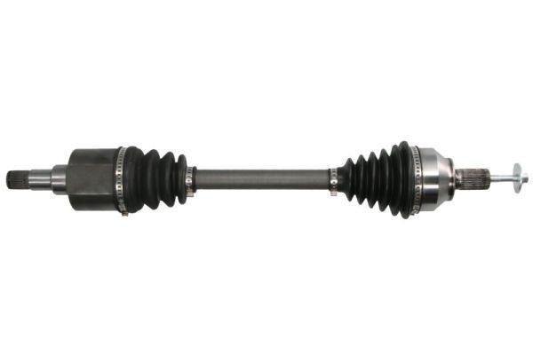 Pusašis PASCAL G2G032PC