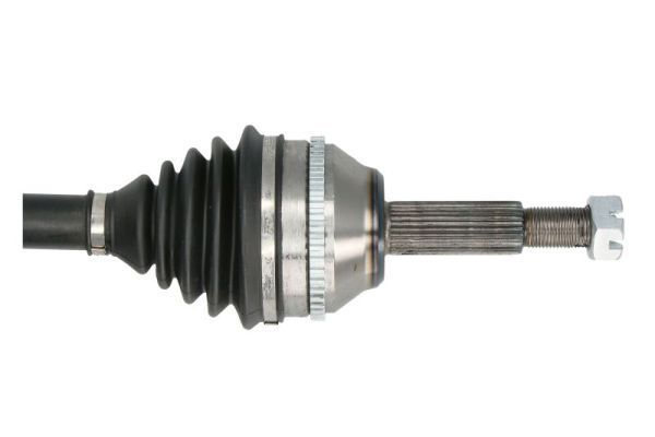 Pusašis PASCAL G2G034PC