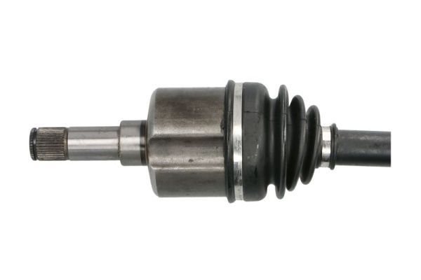 Pusašis PASCAL G2G034PC