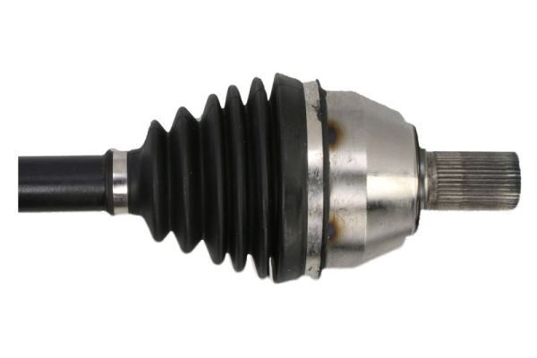 Pusašis PASCAL G2G037PC