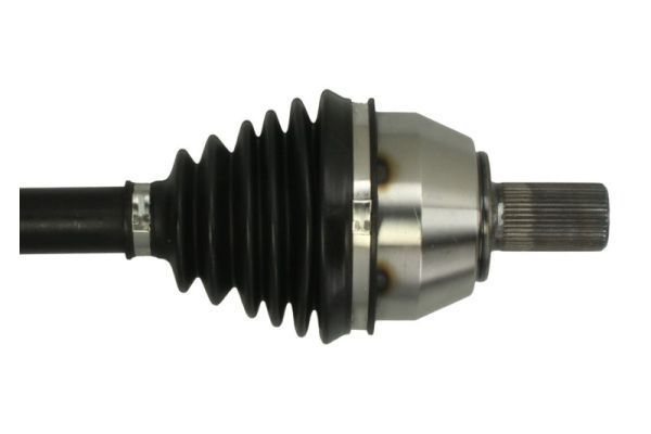 Pusašis PASCAL G2G038PC