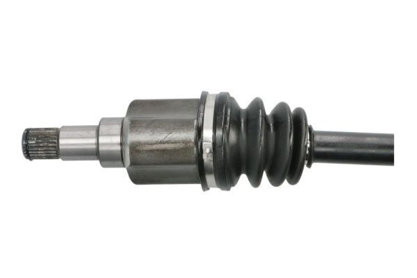 Pusašis PASCAL G2G043PC