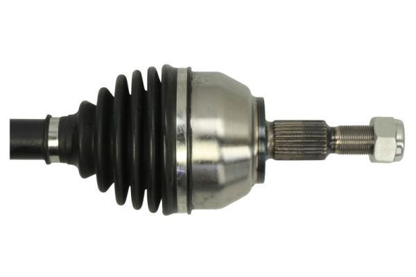 Pusašis PASCAL G2G048PC