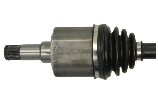 Pusašis PASCAL G2G048PC