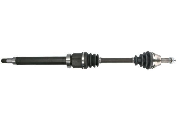 Pusašis PASCAL G2G049PC