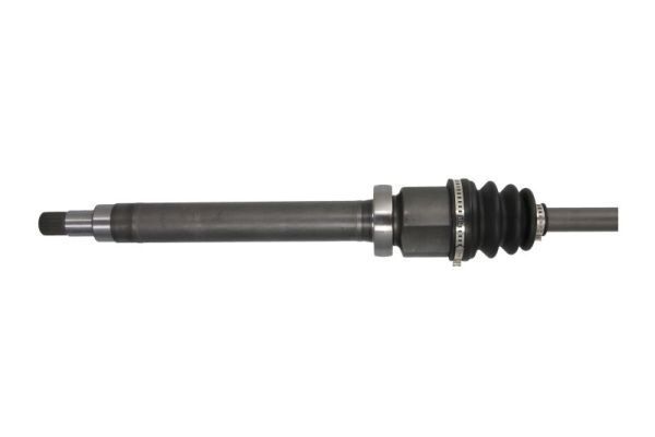 Pusašis PASCAL G2G051PC