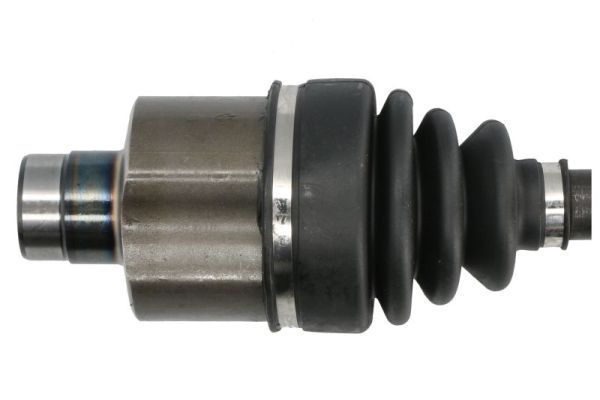 Pusašis PASCAL G2G058PC