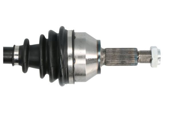 Pusašis PASCAL G2G059PC