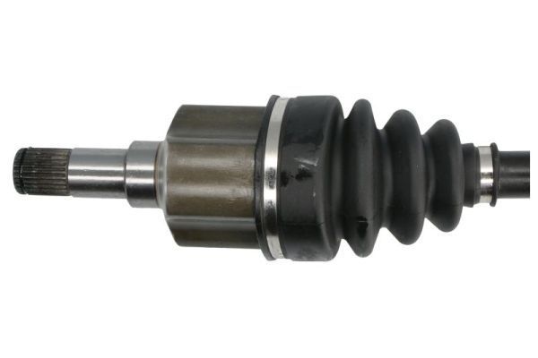 Pusašis PASCAL G2G059PC