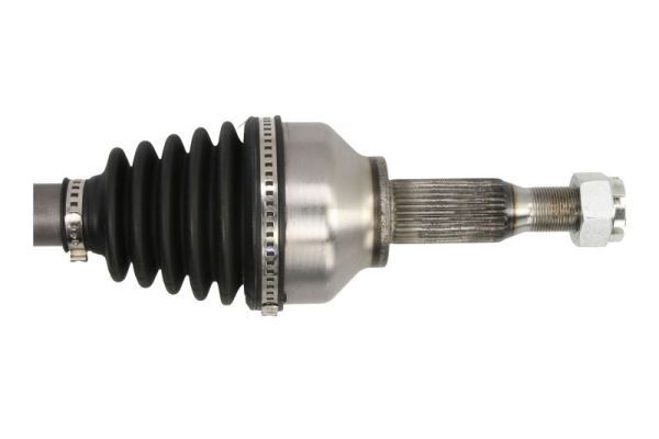 Pusašis PASCAL G2G064PC