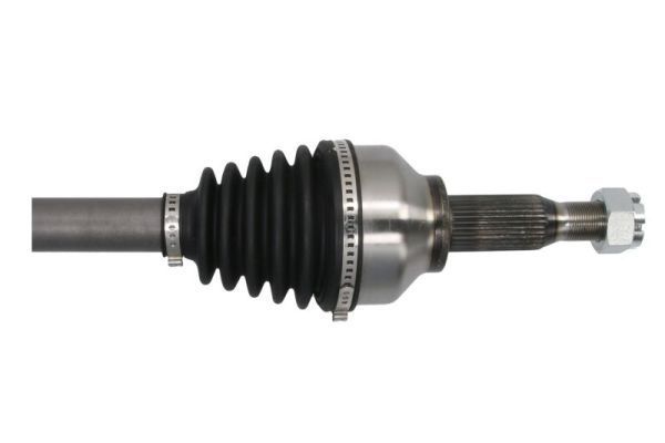 Pusašis PASCAL G2G065PC
