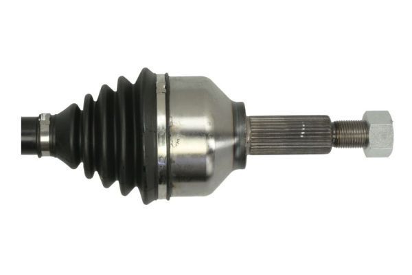 Pusašis PASCAL G2G066PC