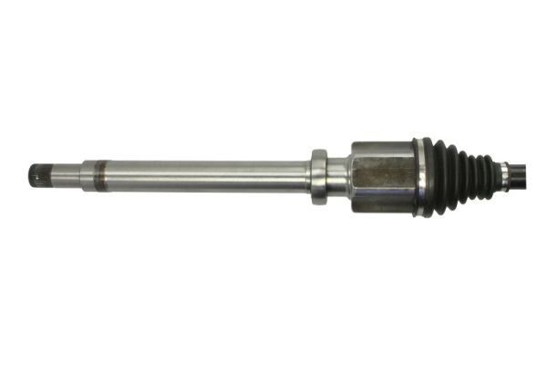 Pusašis PASCAL G2G066PC