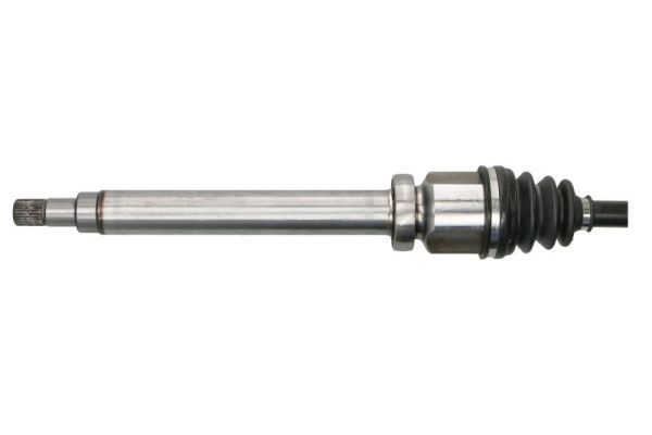 Pusašis PASCAL G2G068PC