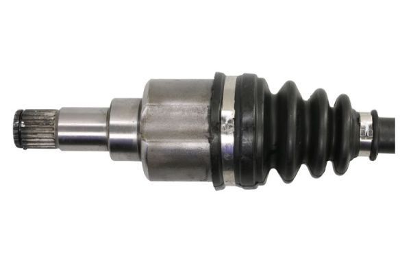 Pusašis PASCAL G2G083PC