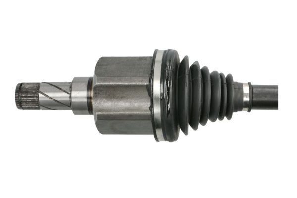 Pusašis PASCAL G2G086PC