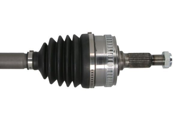 Pusašis PASCAL G2M001PC