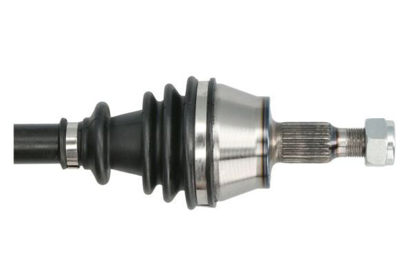 Pusašis PASCAL G2M011PC
