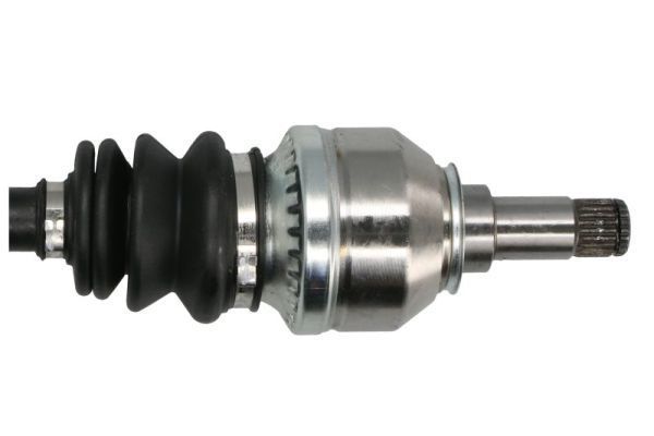 Pusašis PASCAL G2M012PC