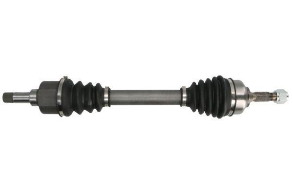 Pusašis PASCAL G2P001PC