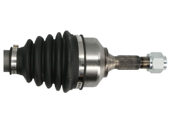 Pusašis PASCAL G2P001PC