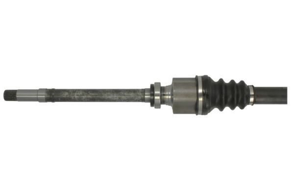 Pusašis PASCAL G2P002PC