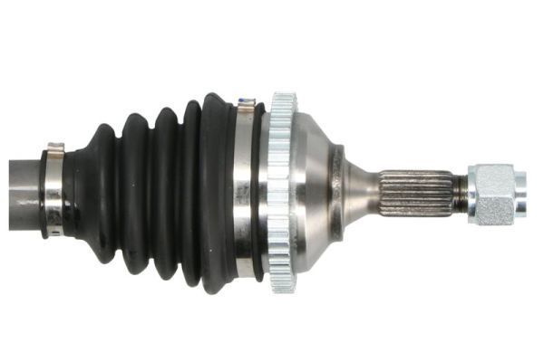Pusašis PASCAL G2P003PC
