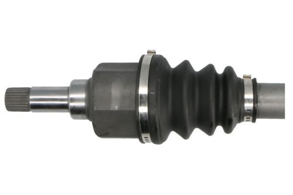 Pusašis PASCAL G2P003PC