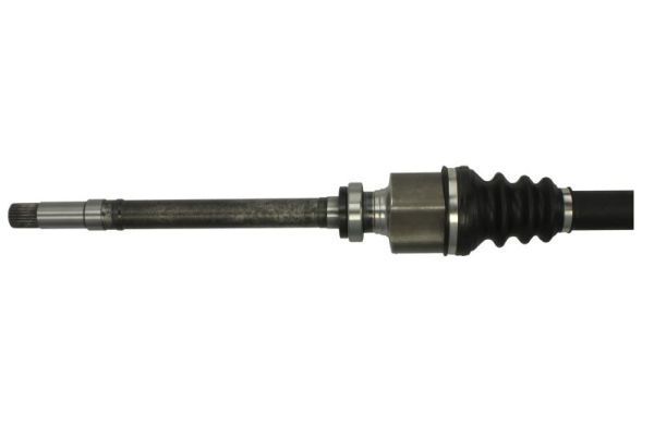 Pusašis PASCAL G2P004PC