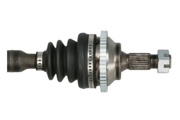 Pusašis PASCAL G2P006PC