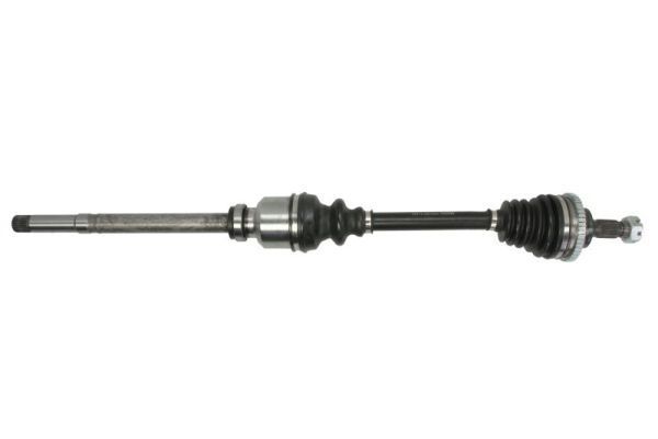 Pusašis PASCAL G2P010PC