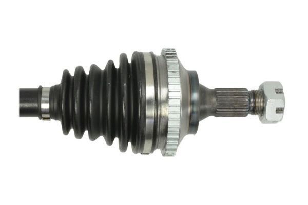 Pusašis PASCAL G2P010PC