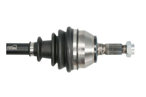 Pusašis PASCAL G2P011PC