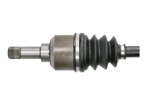 Pusašis PASCAL G2P011PC
