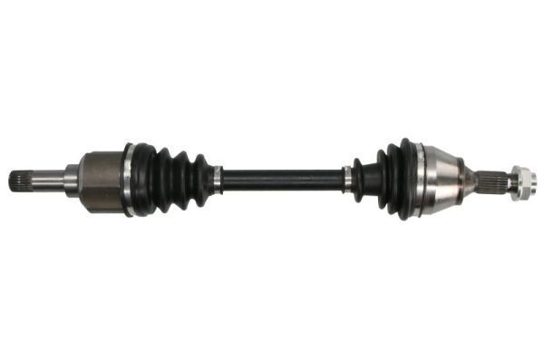 Pusašis PASCAL G2P014PC