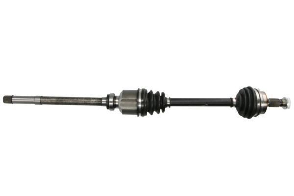 Pusašis PASCAL G2P017PC