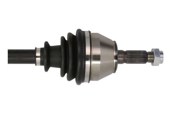Pusašis PASCAL G2P019PC