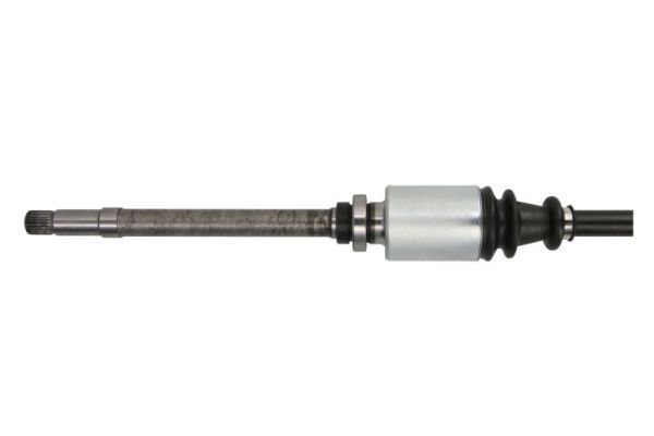 Pusašis PASCAL G2P019PC