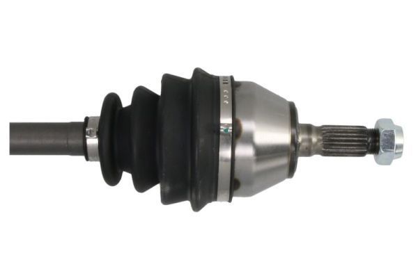 Pusašis PASCAL G2P021PC