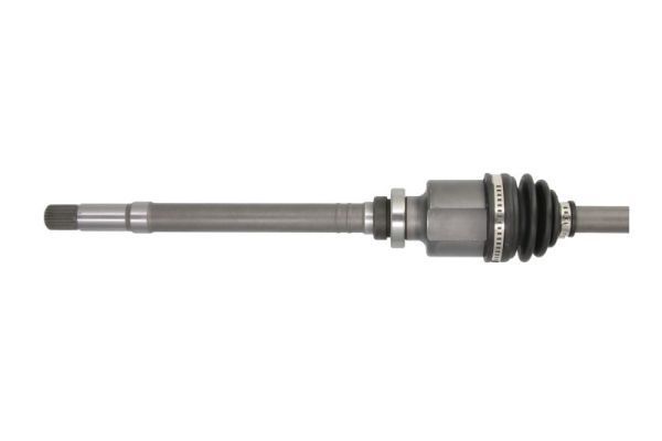 Pusašis PASCAL G2P023PC