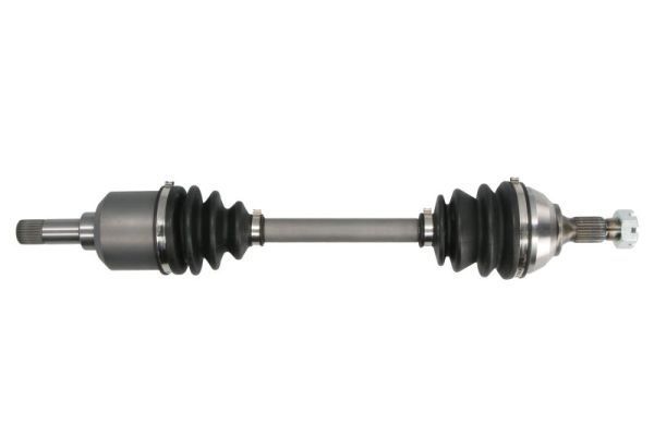 Pusašis PASCAL G2P024PC