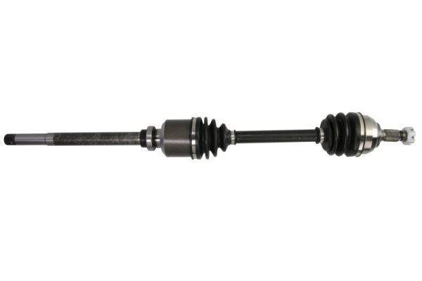 Pusašis PASCAL G2P025PC
