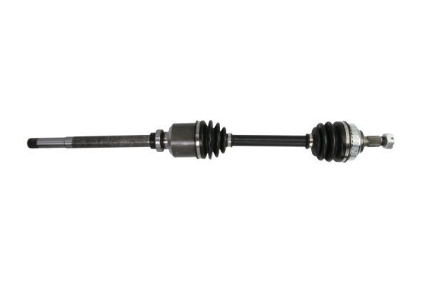 Pusašis PASCAL G2P026PC