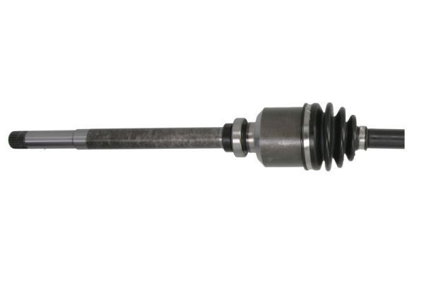 Pusašis PASCAL G2P026PC