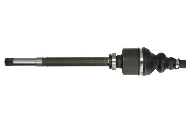 Pusašis PASCAL G2P027PC