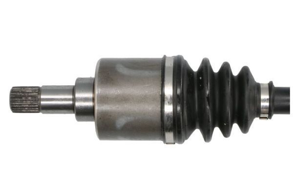 Pusašis PASCAL G2P029PC