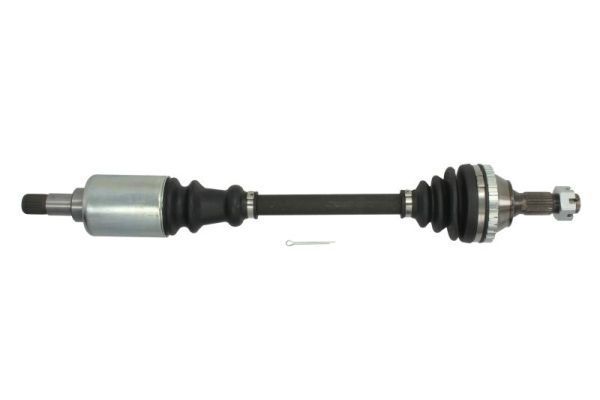 Pusašis PASCAL G2P031PC