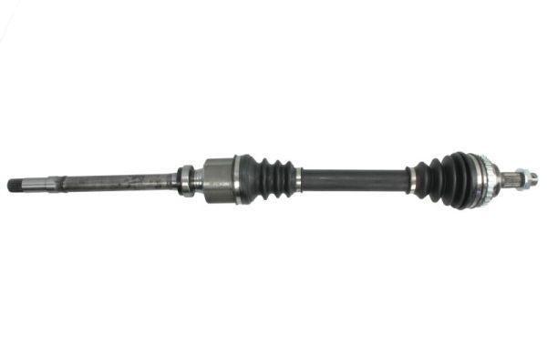 Pusašis PASCAL G2P033PC